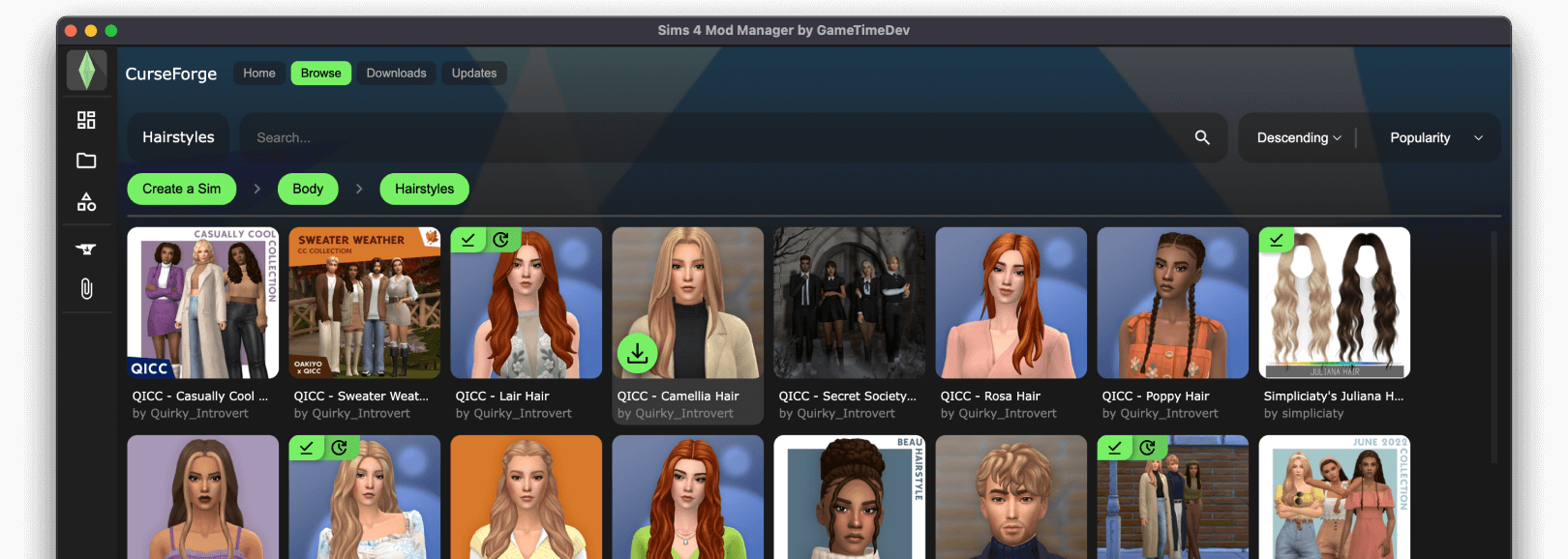 Sims 4 Mod Manager